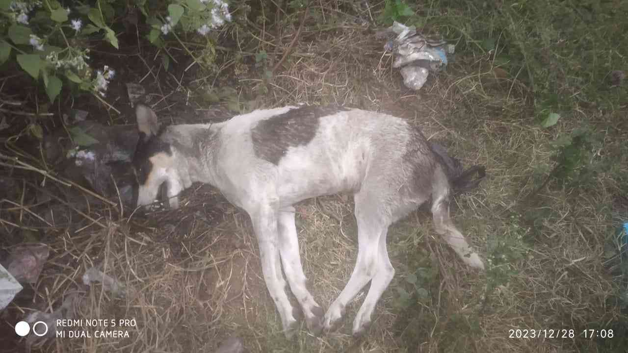 IMG-20231228-WA0003_7_11zon