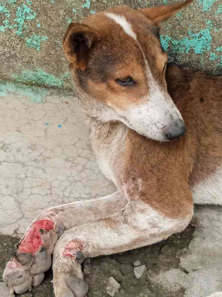 IMG-20240423-WA0002_9_11zon