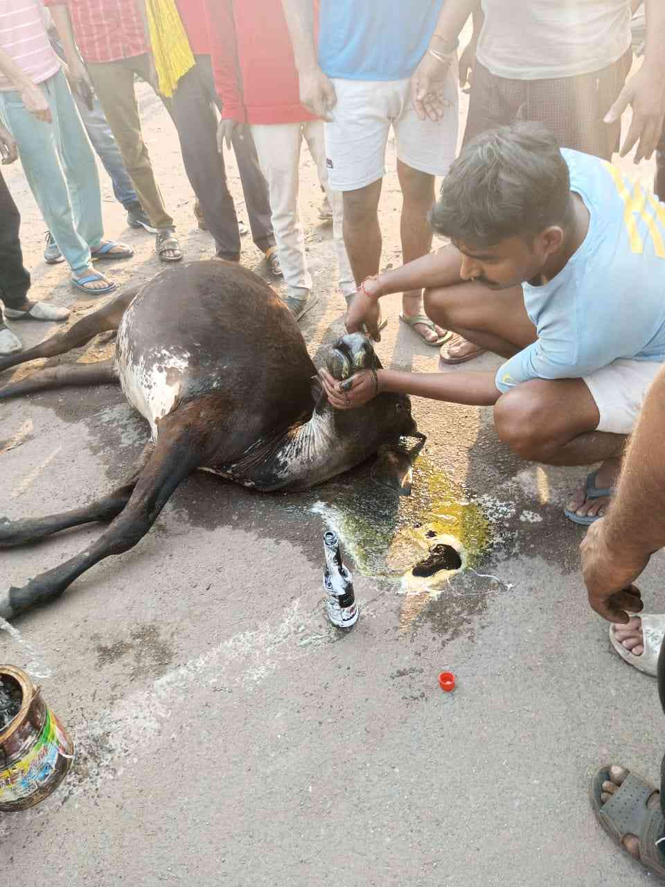 IMG-20240512-WA0007_13_11zon