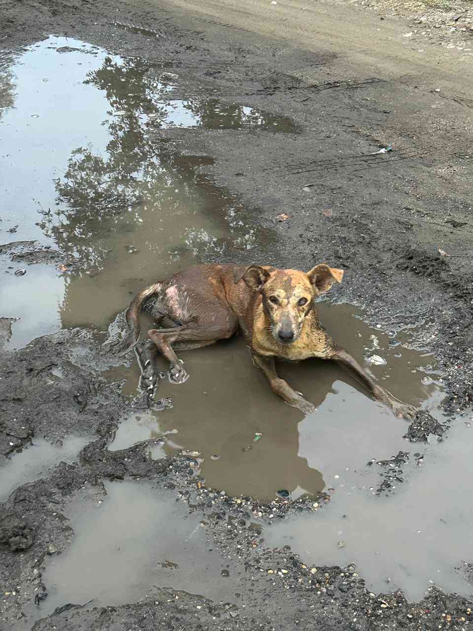 IMG-20240705-WA0030_14_11zon