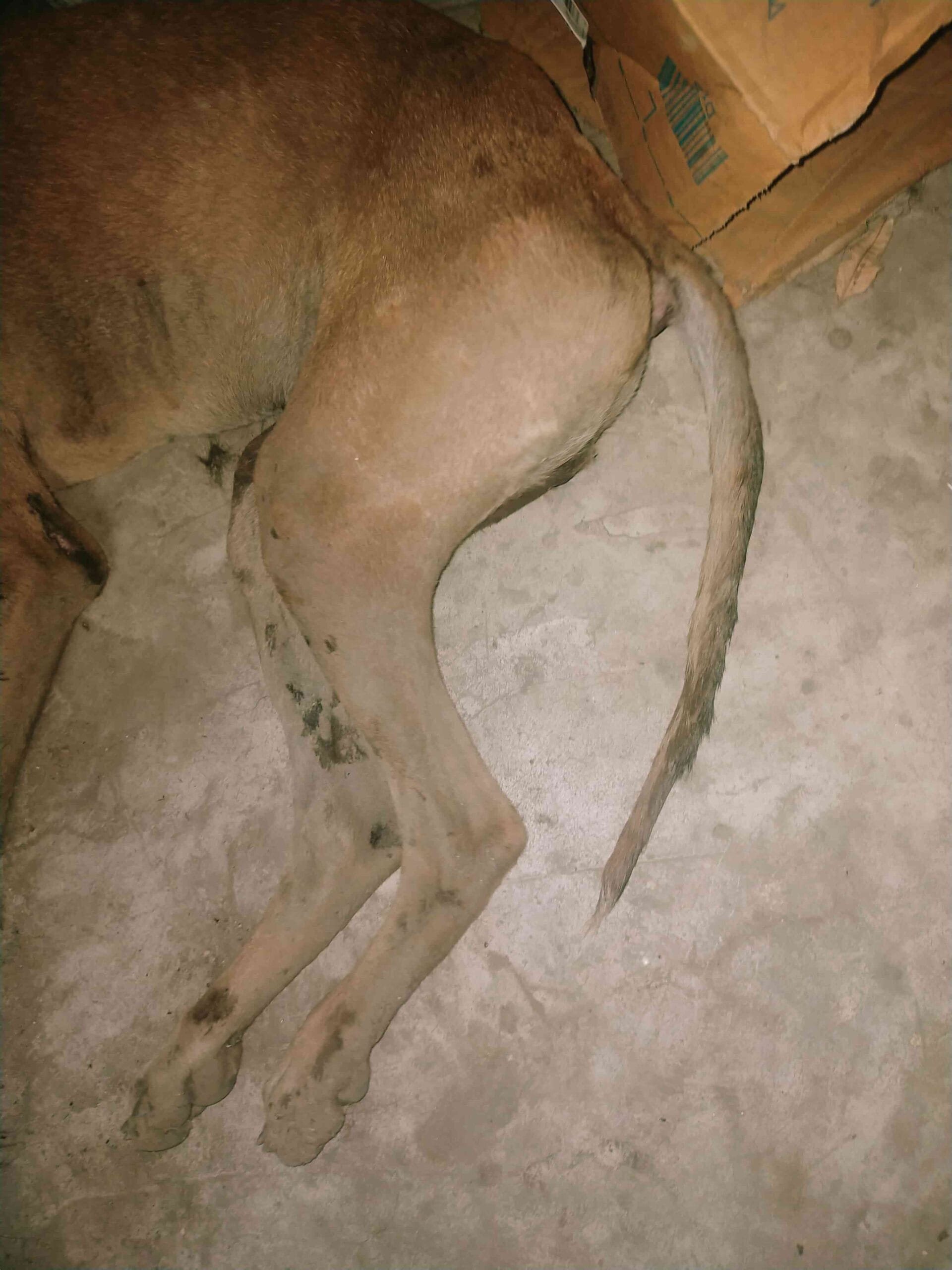 IMG-20240706-WA0006_15_11zon