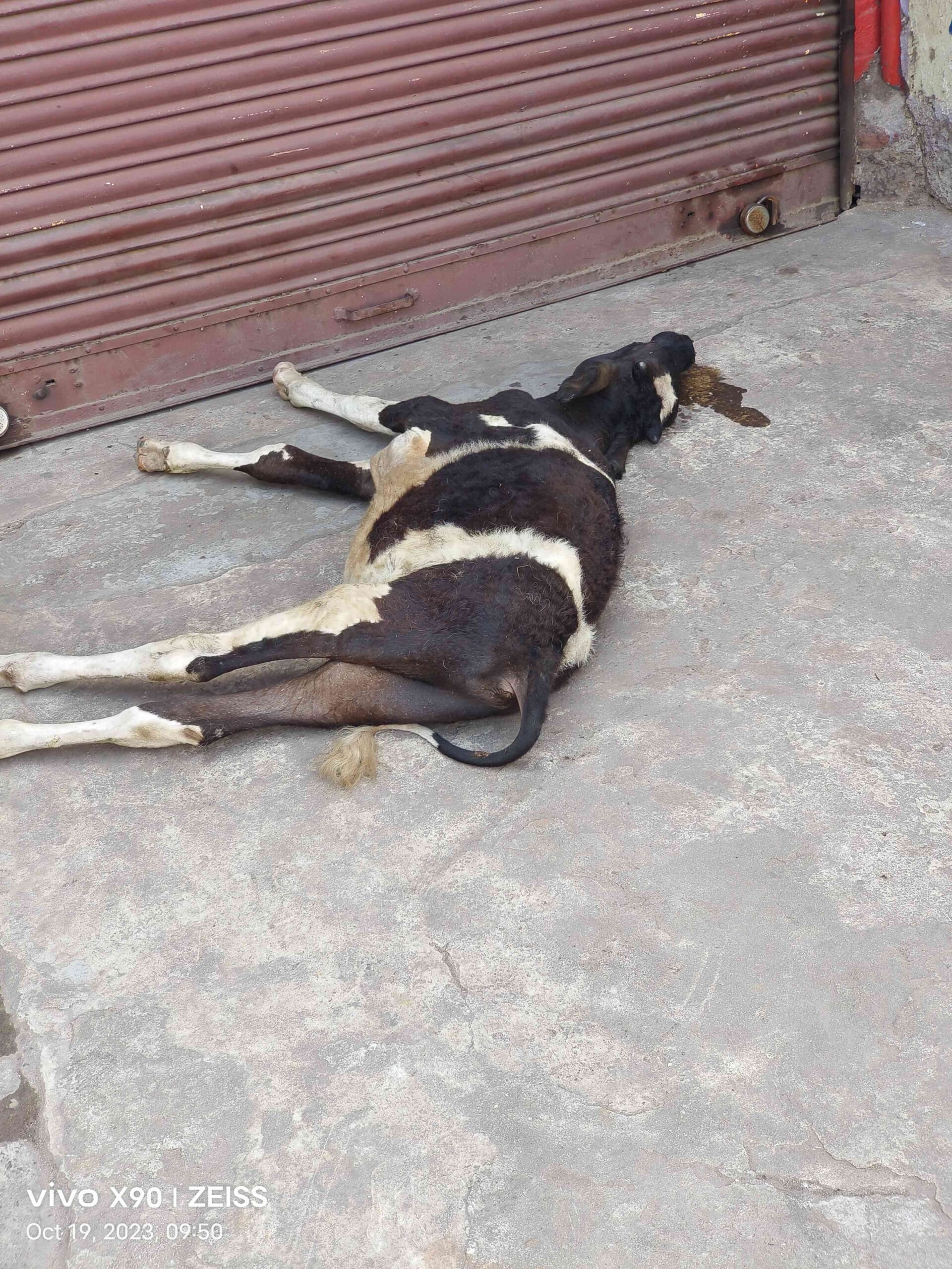 IMG_20231019_095041_1_11zon