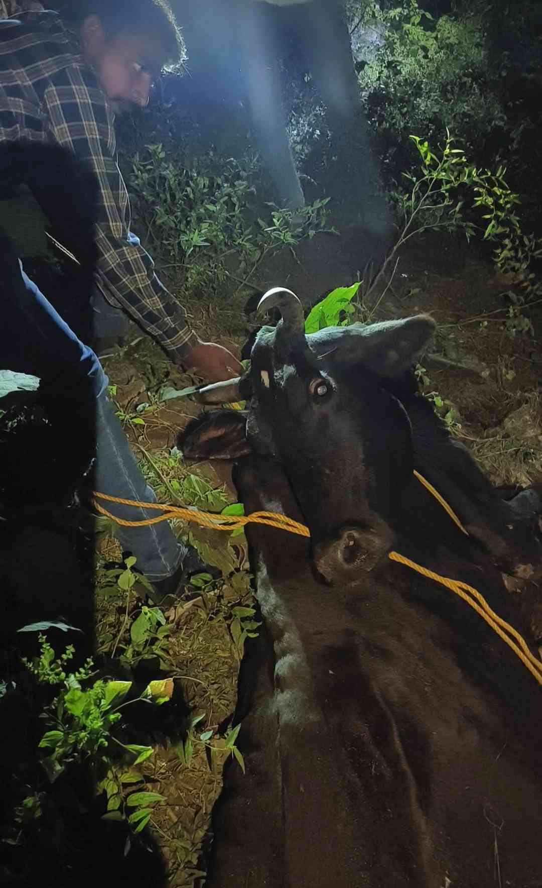 IMG_20231023_085802_3_11zon