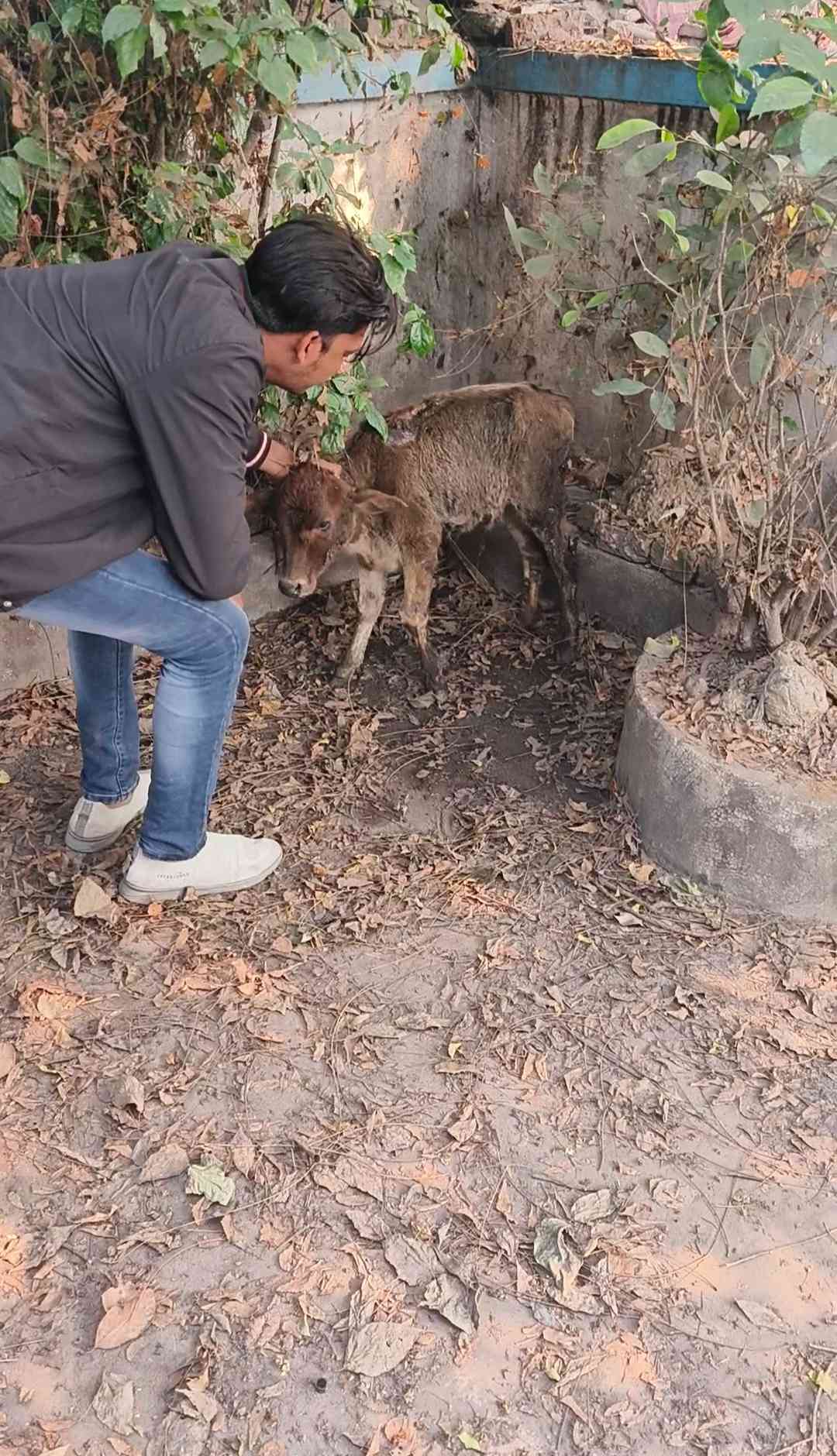 IMG_20231226_190504_5_11zon