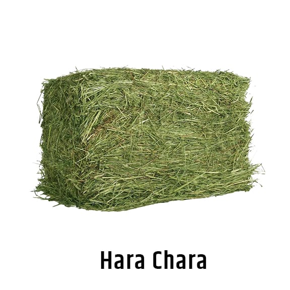 hara-chara
