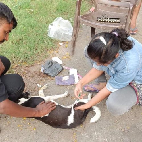 FB_IMG_1729087232179