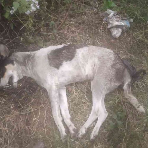 IMG-20231228-WA0003_7_11zon