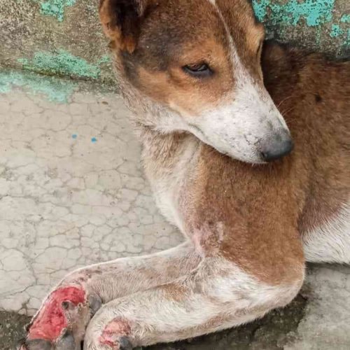 IMG-20240423-WA0002_9_11zon