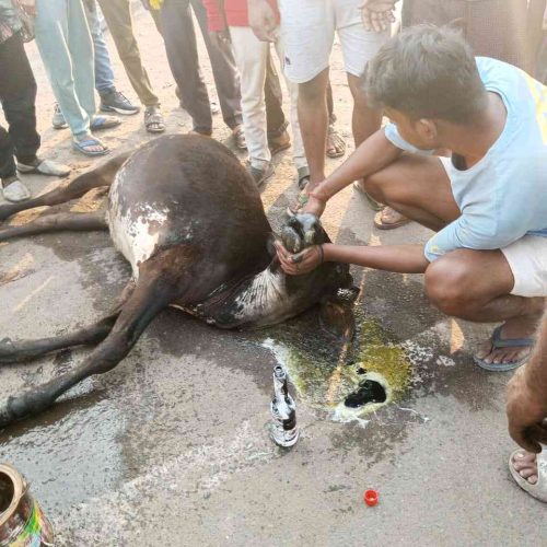 IMG-20240512-WA0002_12_11zon