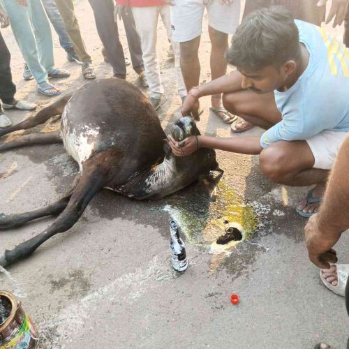 IMG-20240512-WA0007_13_11zon