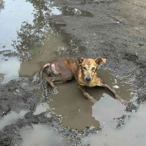 IMG-20240705-WA0030_14_11zon