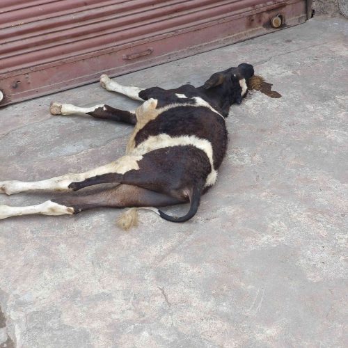 IMG_20231019_095041_1_11zon