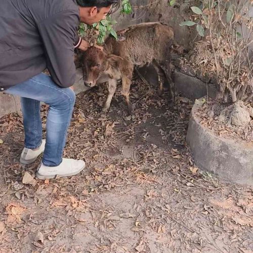 IMG_20231226_190504_5_11zon