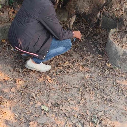 IMG_20231226_190515_6_11zon