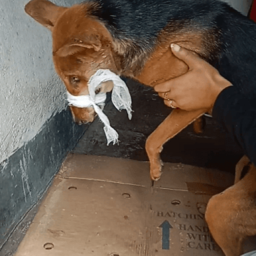 Screenshot 2024-10-20 231320