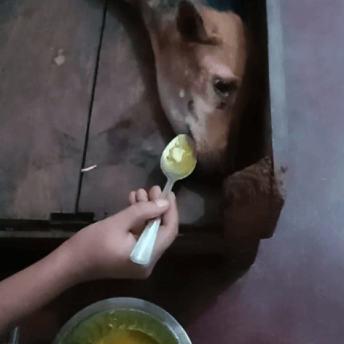 Screenshot 2024-10-20 231346