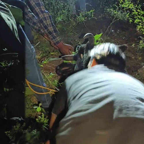 Screenshot_20231023_085703_21_11zon