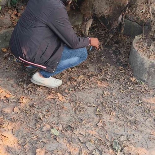 Screenshot_20231226_190434_22_11zon