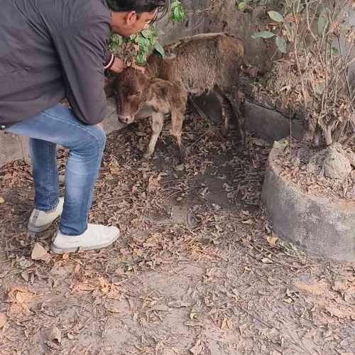 Screenshot_20231226_190443_23_11zon