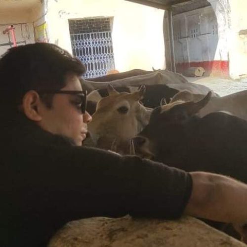 WhatsApp Image 2024-10-17 at 01.28.17_154c29dc